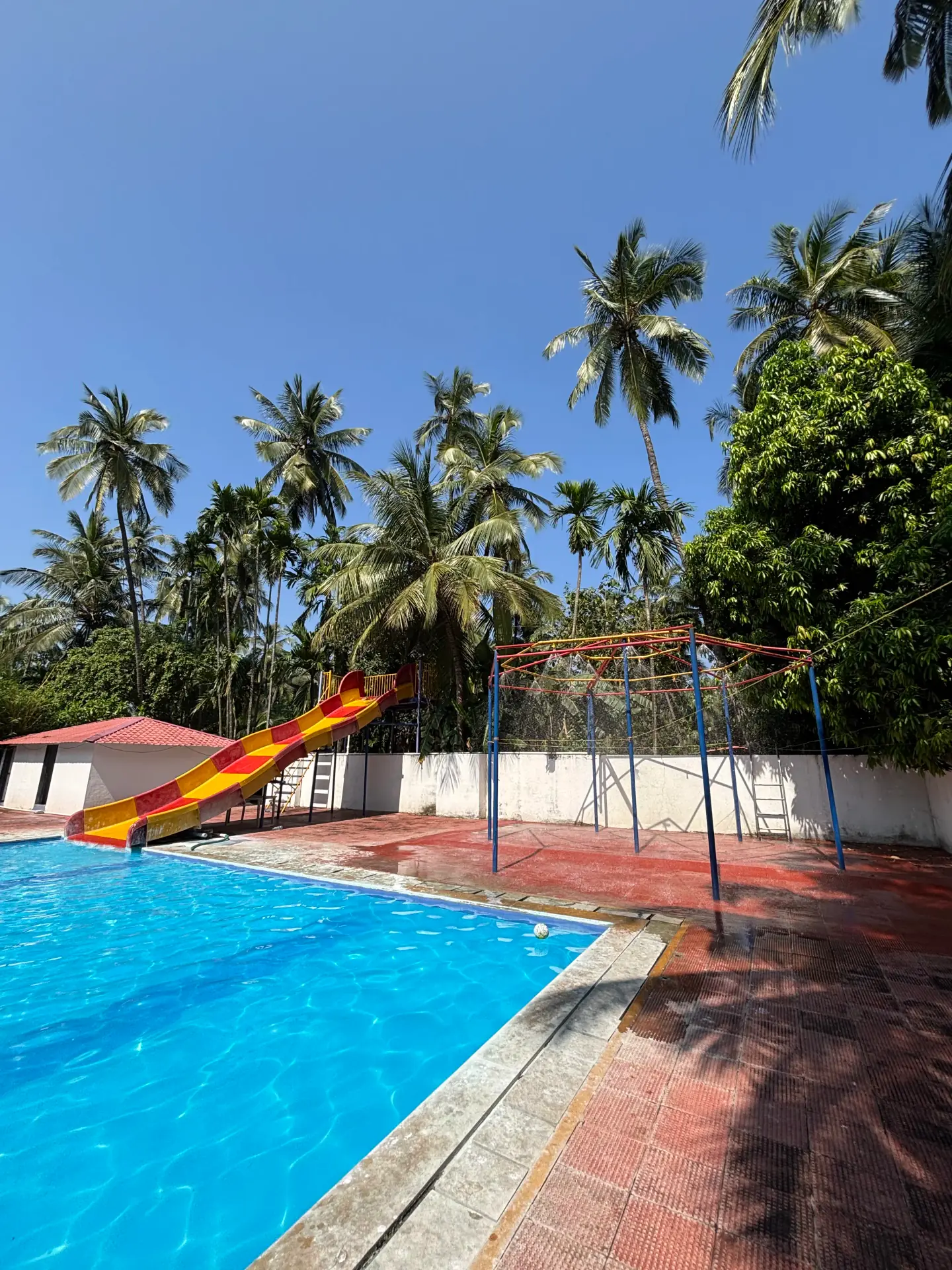 Swimming pool area surrounded by lush nature in Kelva